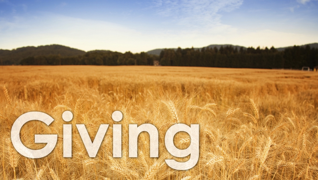 Random Giving Versus Giving Wisely Random Giving Versus Giving Wisely